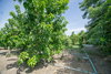 listing thumbnail image 13