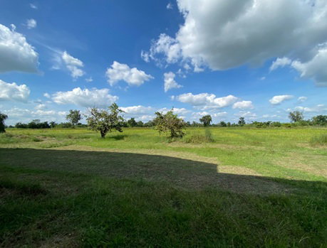 รูป โรงสี 38648 ตร.วา อำเภอกระสัง บุรีรัมย์ 94.7M - รูปที่ 3/14