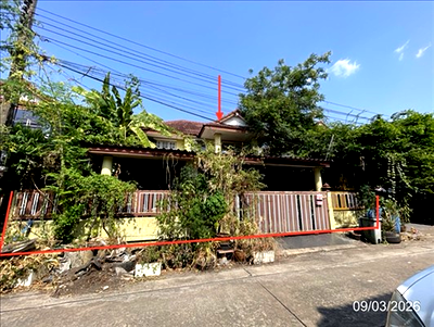บ้านเดี่ยว กรุงเทพมหานคร : บ้านเดี่ยว 50 ตร.วา ประภาวรรณโฮม ร่มเกล้า 1 เขตมีนบุรี กรุงเทพมหานคร 3.3M