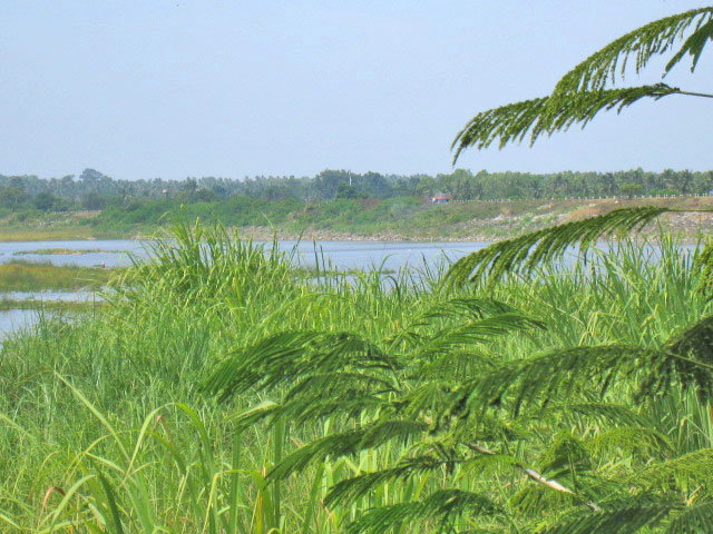 รูป ขายที่ดินเปล่า 171 ตร.ว. โครงการบ้านเนินน้ำ บางละมุง ชลบุรี เลียบทางด่วนกรุงเทพพัทยา โครงการติดอ่างเก็บน้ำห้วยขุนจิต  - รูปที่ 15/37