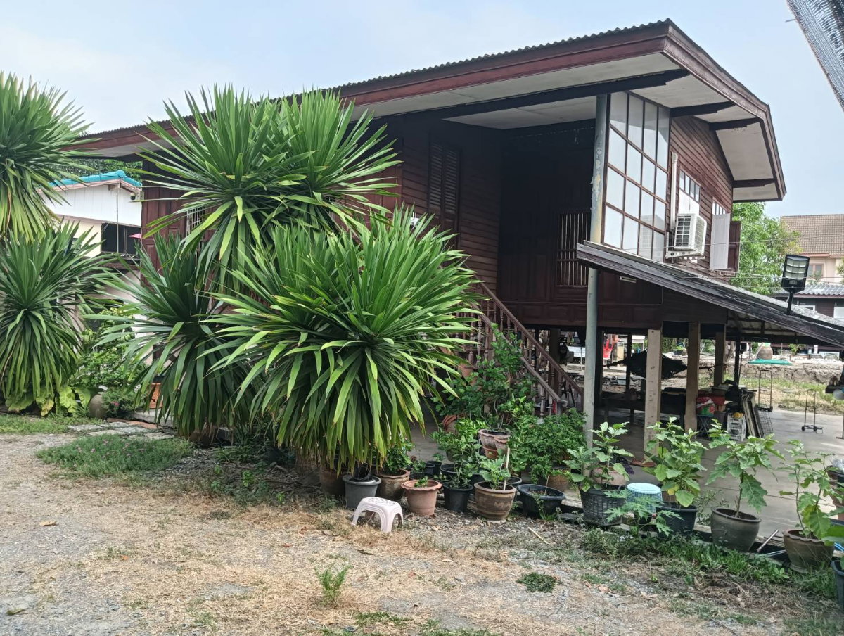 รูป บ้านพร้อมที่ดิน “เสนานิคม” ทำเลหายาก เข้า-ออกได้ 3 ทาง - รูปที่ 7/16