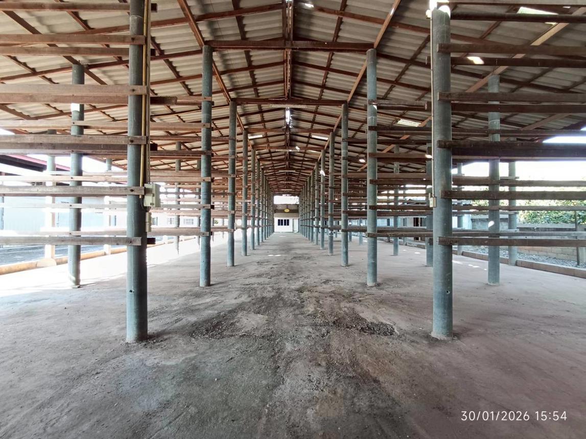 รูป โกดัง 395.1 ตร.วา บ้านโฮ่ง ลำพูน 1.5M - รูปที่ 24/46
