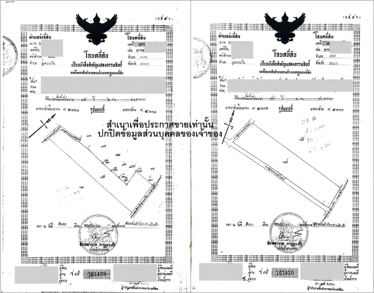 รูป ขายสวนยางผืนใหญ่  อ.แกลง จ.ระยอง เนื้อที่ 80 ไร่ 221 ตร.ว. ติดถนนลาดยาง ใกล้สุขุมวิท 3 กม. - รูปที่ 10/10