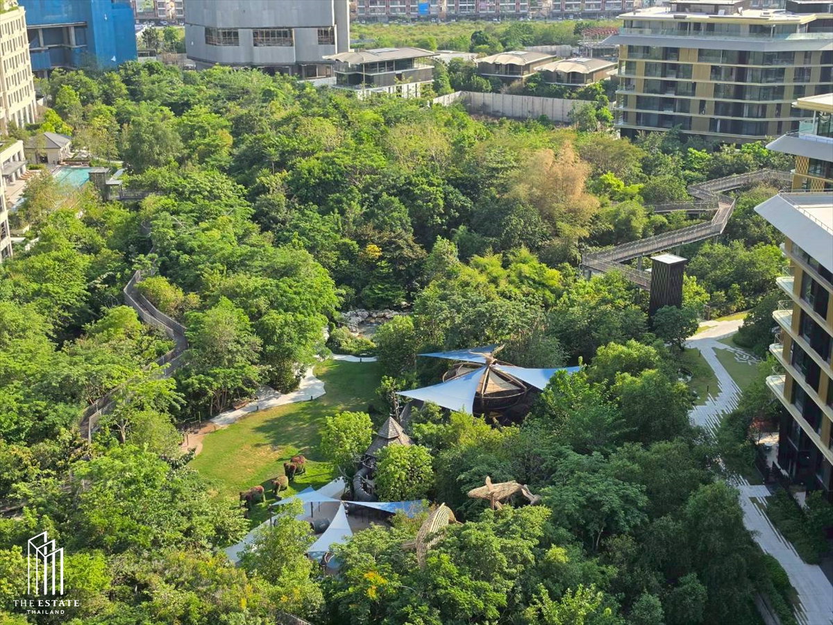 รูป For Rent Whizdom The Forestias (Petopia) สามารถเลี้ยงสัตว์เลี้ยงได้ ทั้งชั้นมี Layout นี้เพียงห้องเดียว ที่เป็นแบบ 2 ห้องนอน ตำแหน่งมุม ทิศเหนือ  - รูปที่ 8/21