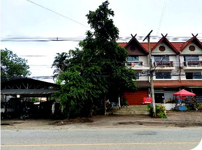 อาคารพาณิชย์ เทศบาลตำบลดอนแก้ว : BP00776 ขายอาคารพานิชย์ ตำบล ยางเนิ้ง อำเภอ สารภี จังหวัด เชียงใหม่