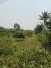 listing thumbnail image 12
