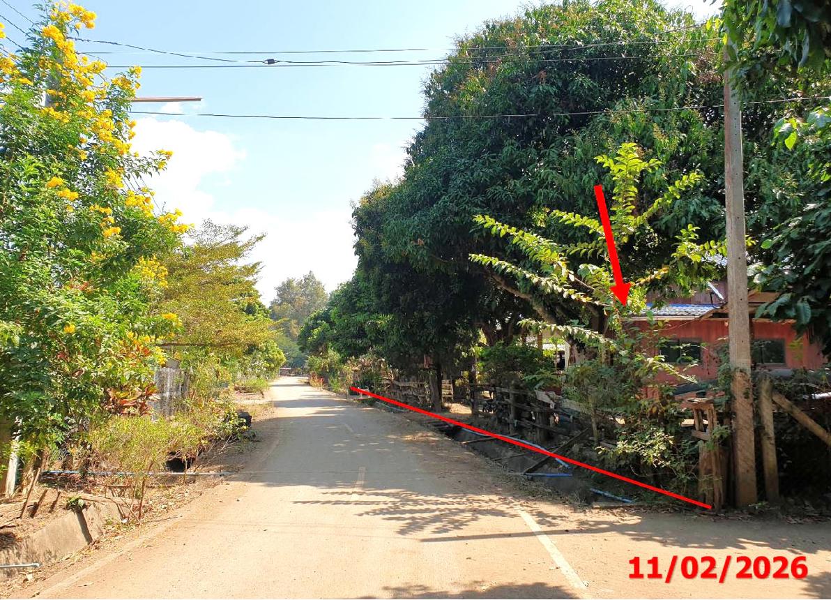 รูป บ้านเดี่ยว 167 ตร.วา ลี้ ลำพูน 1.7M - รูปที่ 7/12