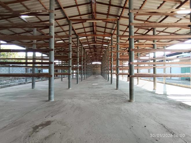 รูป โกดัง 395.1 ตร.วา บ้านโฮ่ง ลำพูน 1.5M - รูปที่ 4/46