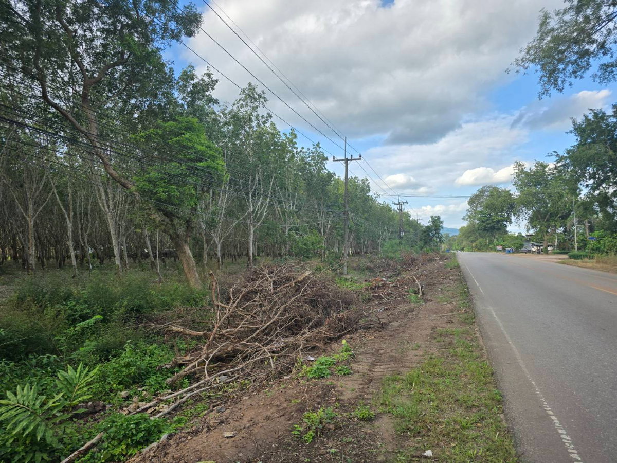 รูป ขายสวนยางผืนใหญ่  อ.แกลง จ.ระยอง เนื้อที่ 80 ไร่ 221 ตร.ว. ติดถนนลาดยาง ใกล้สุขุมวิท 3 กม. - รูปที่ 5/10