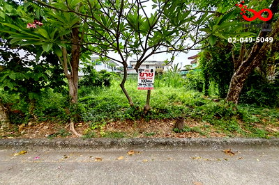 ที่ดิน สนามบินดอนเมือง : ขายที่ดิน 100 ตรว. เกษตรนิเวศน์ 8 ถนนแจ้งวัฒนะ ซอยแจ้งวัฒนะ 14 ใกล้รถไฟฟ้าสีชมพู,ทางด่วน
