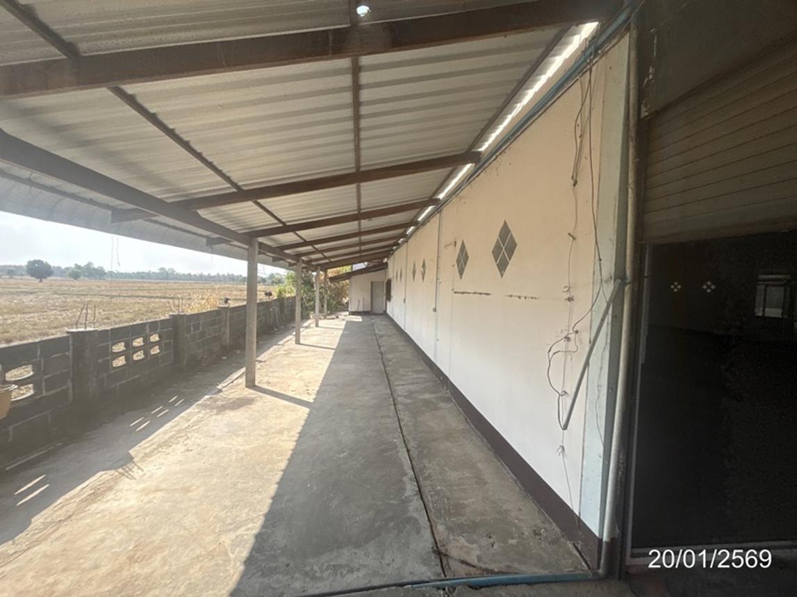 รูป โกดัง 3400 ตร.วา ไพรบึง ศรีสะเกษ 20.9M - รูปที่ 58/74