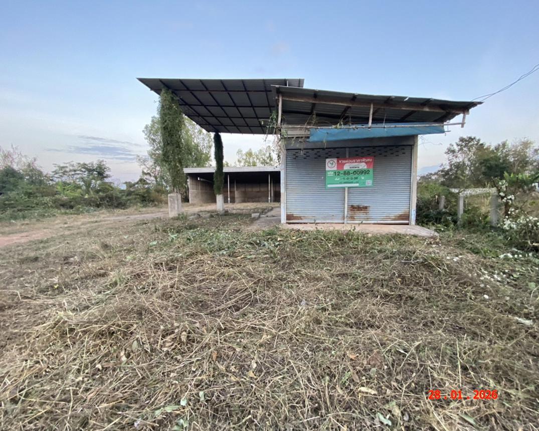 รูป โกดัง 400 ตร.วา ยางตลาด กาฬสินธุ์ 1.6M - รูปที่ 15/30
