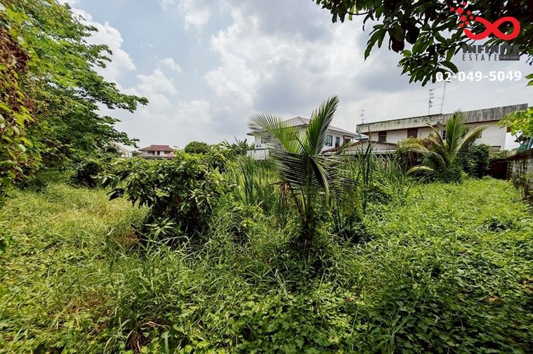 ขายที่ดิน 100 ตร.ว. เขตหลักสี่
