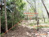 listing thumbnail image 17