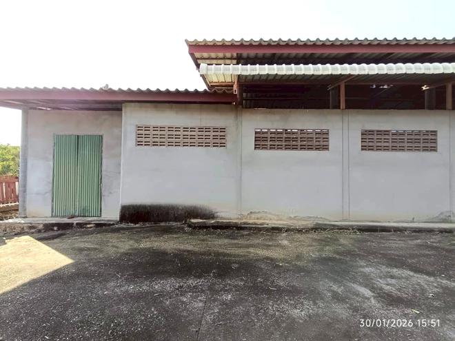 รูป โกดัง 395.1 ตร.วา บ้านโฮ่ง ลำพูน 1.5M - รูปที่ 13/46