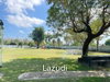 listing thumbnail image 39