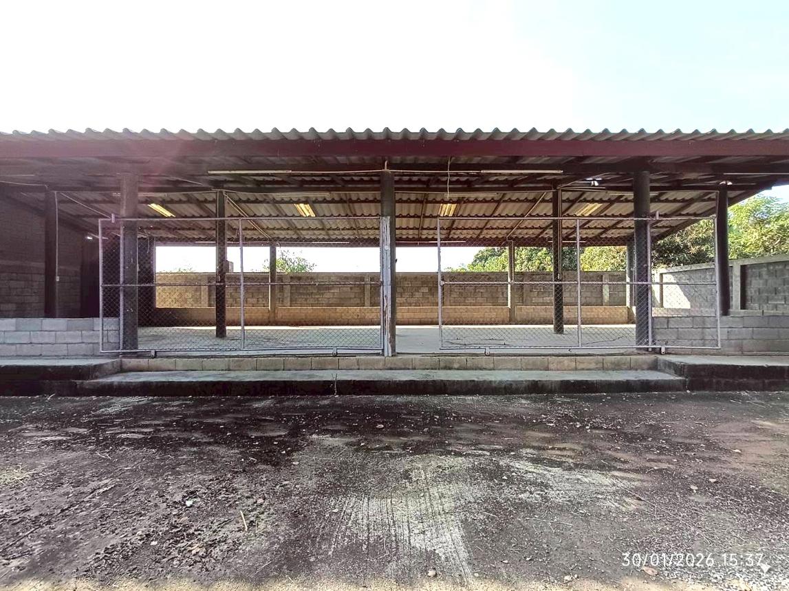 รูป โกดัง 395.1 ตร.วา บ้านโฮ่ง ลำพูน 1.5M - รูปที่ 40/46
