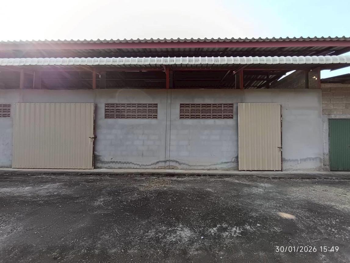 รูป โกดัง 395.1 ตร.วา บ้านโฮ่ง ลำพูน 1.5M - รูปที่ 37/46