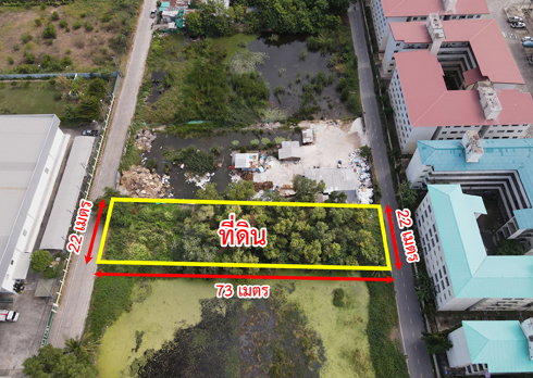 รูป  ขายที่ดิน ซอยเทพกุญชร 34 ตลาดไท คลองหลวง ปทุมธานี 1ไร่ - รูปที่ 3/6