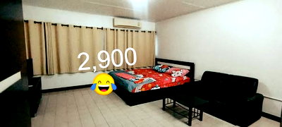 Condos for rent : Room for rent C1 Standard Room