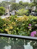 listing thumbnail image 8