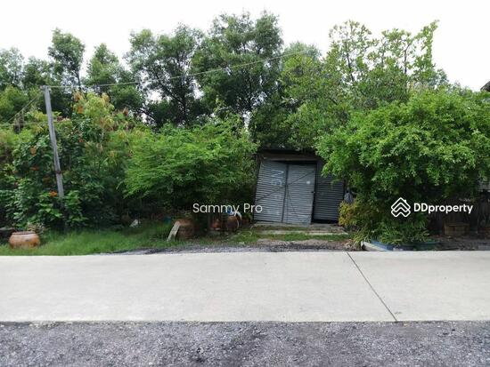 รูป ขายที่ดินเปล่า  ต.คลองด่าน อ.บางบ่อ จ. สมุทรปราการ - รูปที่ 3/5