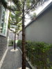 listing thumbnail image 24