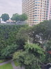 listing thumbnail image 8