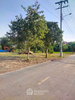 listing thumbnail image 3
