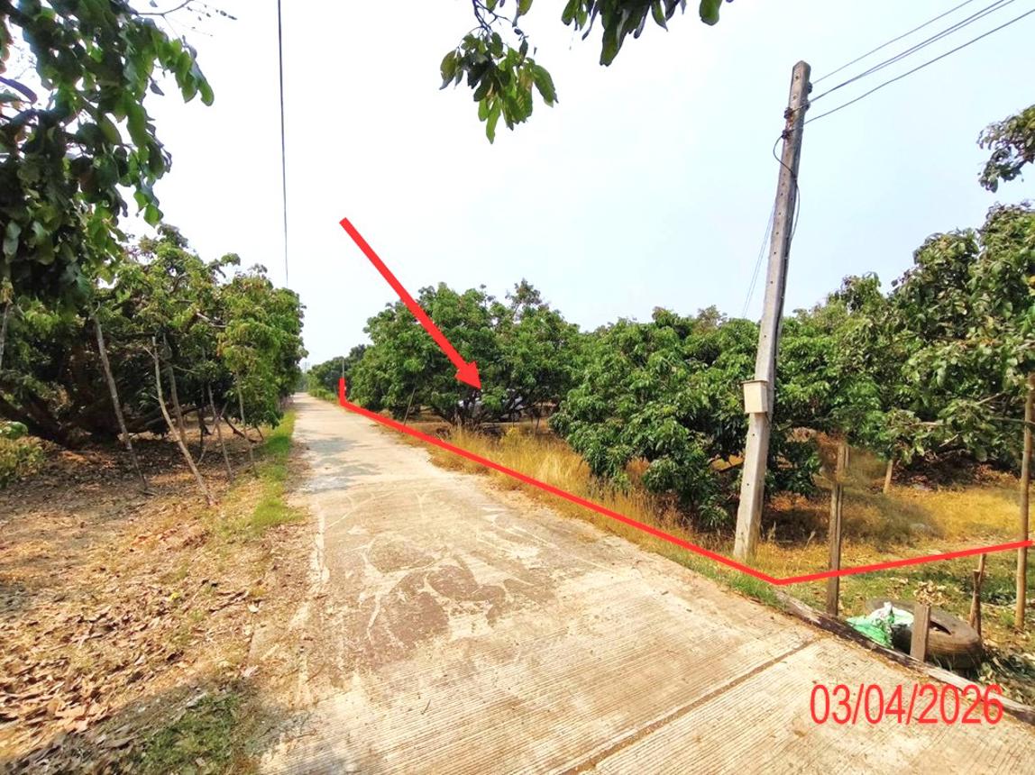 รูป ที่ดินว่างเปล่า 1038 ตร.วา เวียงหนองล่อง ลำพูน 1.2M - รูปที่ 7/16