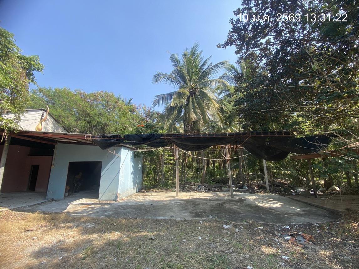 รูป บ้านเดี่ยว 2000 ตร.วา นครชัยศรี นครปฐม 20.5M - รูปที่ 45/62