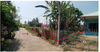 listing thumbnail image 11