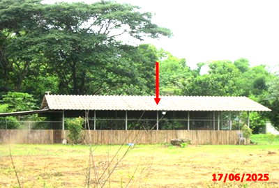 โรงงาน ลำปาง : เพิงอเนกประสงค์ 1211 ตร.วา เกาะคา ลำปาง 2.7M