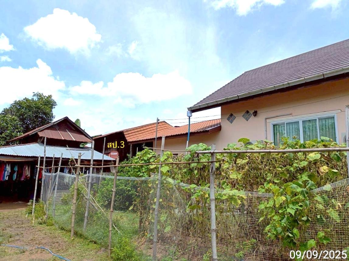 รูป บ้านเดี่ยว 109 ตร.วา จตุรพักตรพิมาน ร้อยเอ็ด 2.6M - รูปที่ 11/18