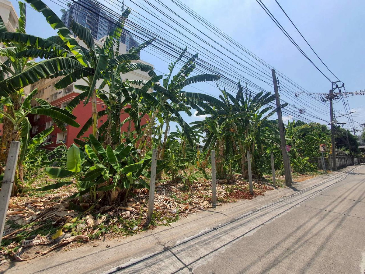 รูป ขายที่ดินเปล่า ซ. ติวานนท์ 32 จ.นนทบุรี  MRT แคราย 197 ตรว  หน้ากว้าง  27 เมตร ลึก 25.5 เมตร - รูปที่ 6/8