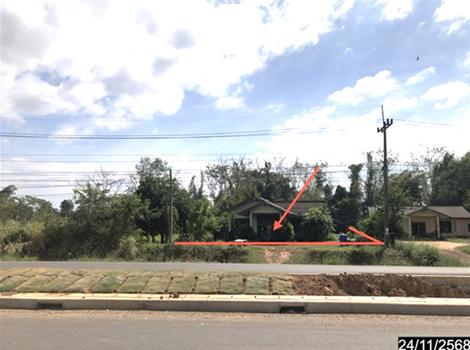 รูป บ้านเดี่ยว 247 ตร.วา เขมราฐ อุบลราชธานี 1.4M - รูปที่ 11/14