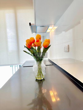 For Rent Condo , Chewathai Kaset-Nawamin , Sena Nikhom , Chatuchak , Bangkok , CX-100243 ✅ Live chat with us ADD LINE @connexproperty ✅