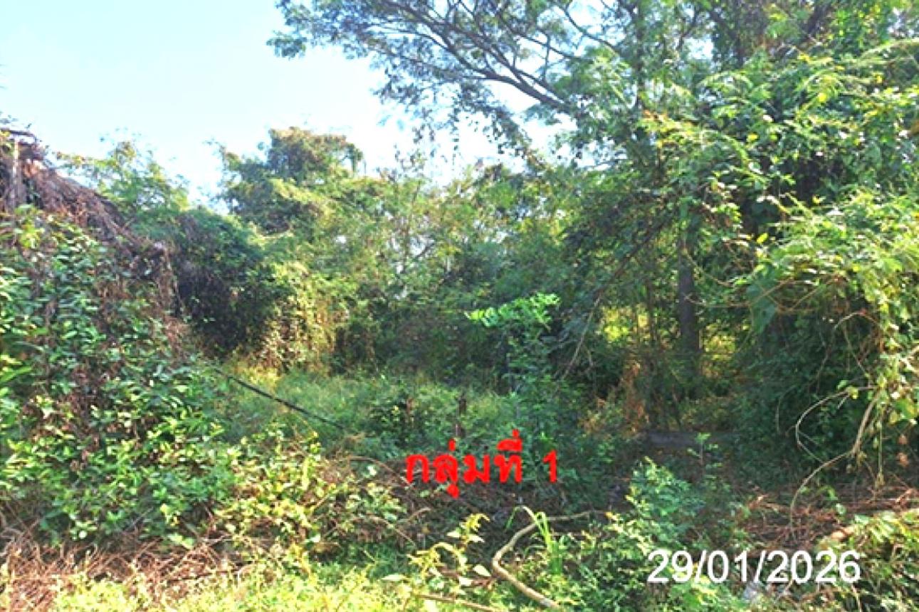 รูป บ้านเดี่ยว 353 ตร.วา เกาะคา ลำปาง 984,000 - รูปที่ 14/22