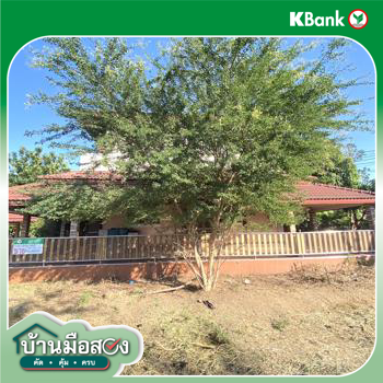 รูป บ้านเดี่ยว 2000 ตร.วา นครชัยศรี นครปฐม 20.5M - รูปที่ 60/62
