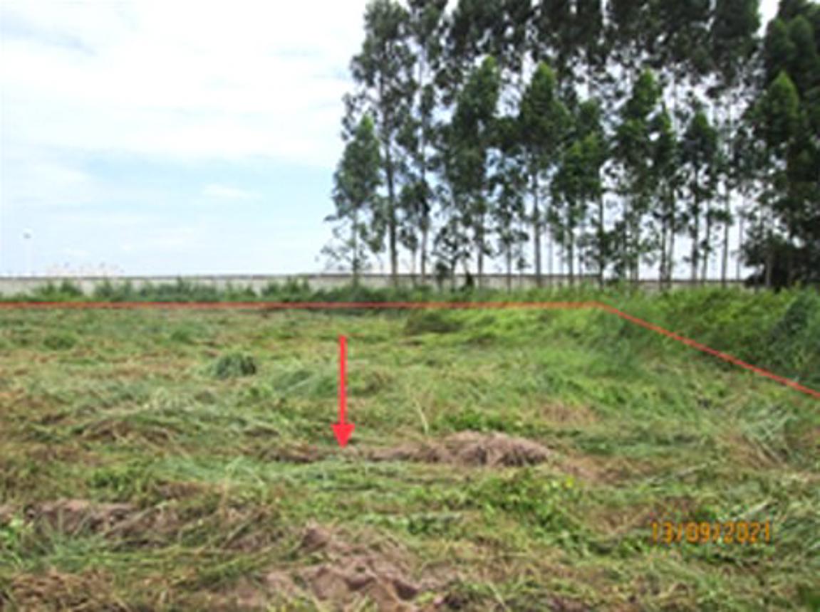 รูป ที่ดินว่างเปล่า 800 ตร.วา ศรีมหาโพธิ ปราจีนบุรี 1.6M - รูปที่ 10/16