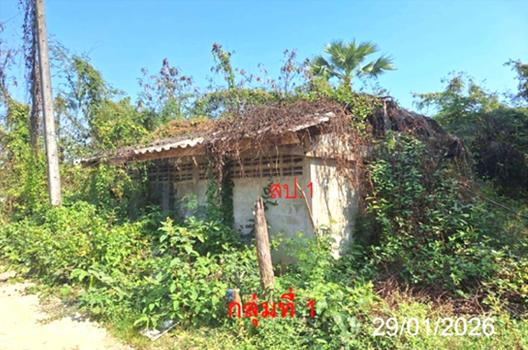 รูป บ้านเดี่ยว 353 ตร.วา เกาะคา ลำปาง 984,000 - รูปที่ 19/22