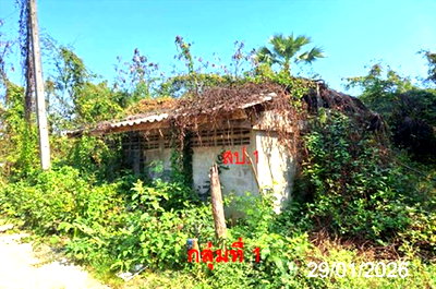 บ้านเดี่ยว 353 ตร.วา เกาะคา ลำปาง 984,000