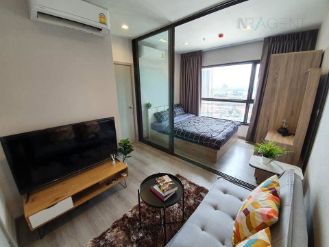 For Rent Condo THE POLITAN AQUA Building 1, Floor 24,1 bed room, Room size 24.00 sqm