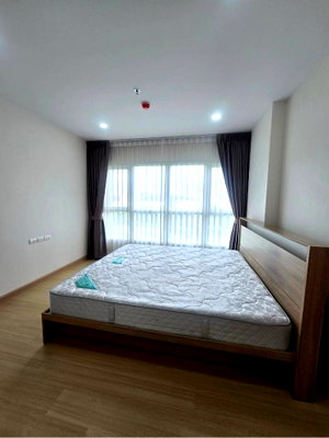 Condos for rent : For Rent Supalai Veranda Ramkhamhaeng Near Ramkhamhaeng University Spacious 41 sq.m.