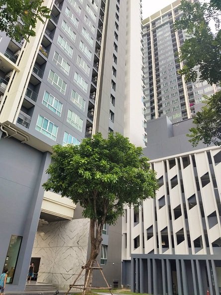 รูป ห้องชุด/คอนโดมิเนียม 35 ตร.ม. ห้องชุด โพรดิจี้ เอ็มอาร์ที บางแค [ชั้น 12 อาคาร A] ภาษีเจริญ กรุงเทพมหานคร 2.5M - รูปที่ 2/4