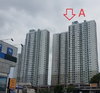 listing thumbnail image 13