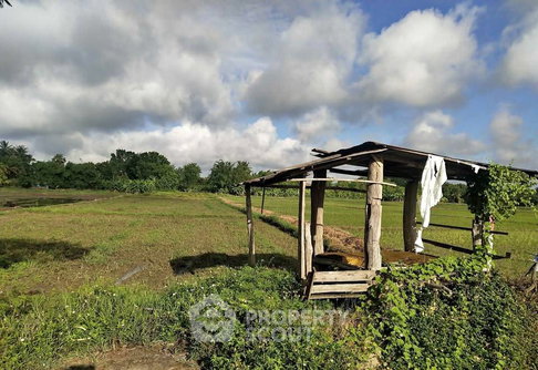 ที่ดินสำหรับปล่อยขาย 3,600 ตารางเมตร แถว ใน หนองแก้ว (ID 2830413)