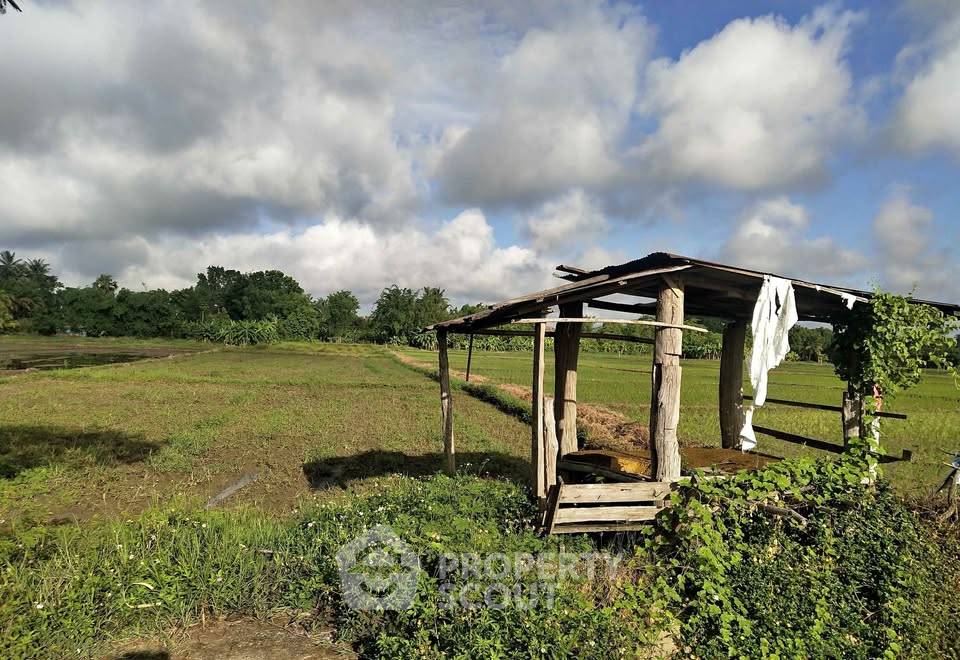 รูป ที่ดินสำหรับปล่อยขาย 3,600 ตารางเมตร แถว ใน หนองแก้ว (ID 2830413) - รูปที่ 1/3