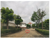 listing thumbnail image 6