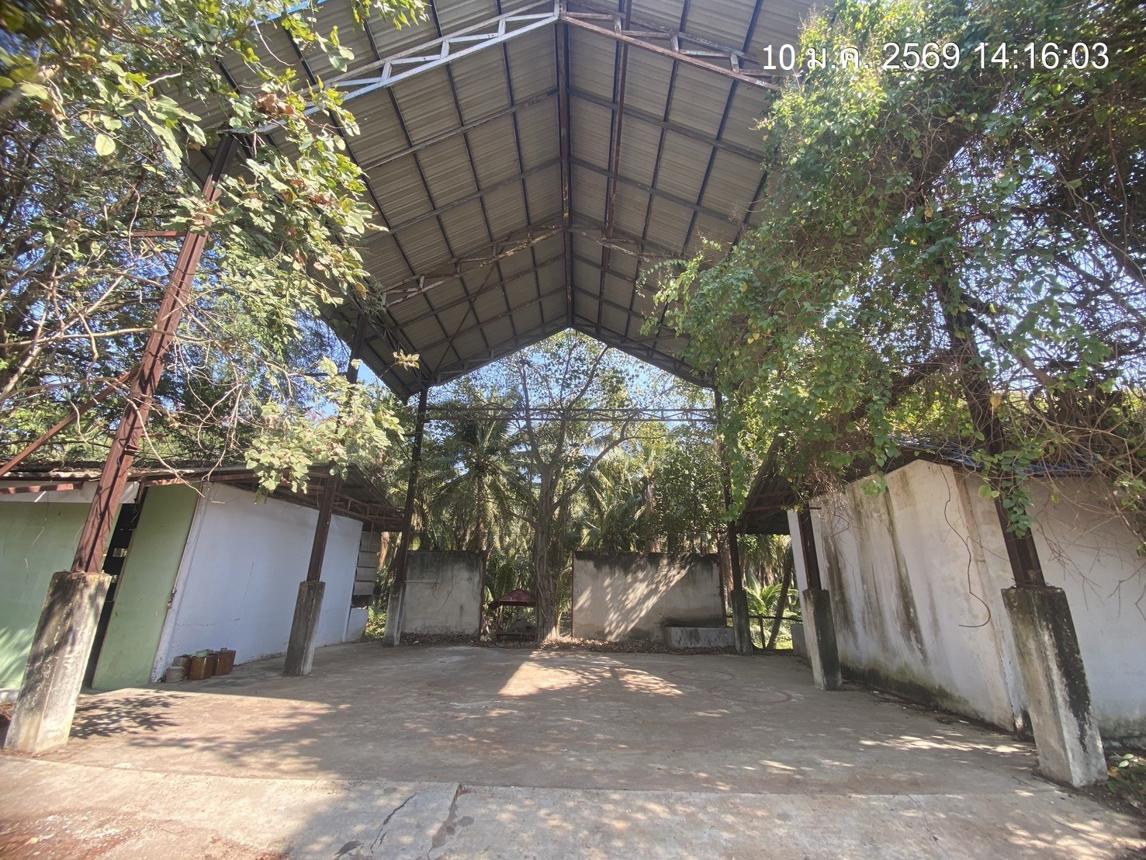 รูป บ้านเดี่ยว 2000 ตร.วา นครชัยศรี นครปฐม 20.5M - รูปที่ 50/62